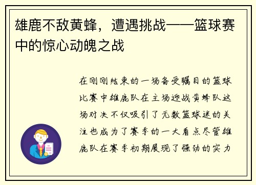 雄鹿不敌黄蜂，遭遇挑战——篮球赛中的惊心动魄之战