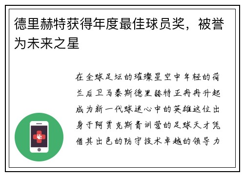 德里赫特获得年度最佳球员奖，被誉为未来之星