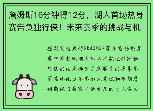 詹姆斯16分钟得12分，湖人首场热身赛告负独行侠！未来赛季的挑战与机遇